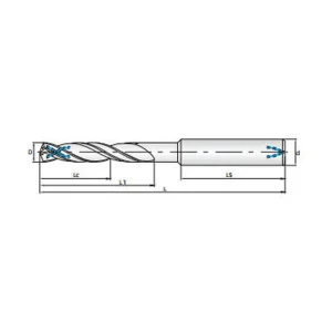 9 3.webp