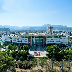 Rectangle 81 (3)