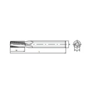 Za21 Bspg 4.webp