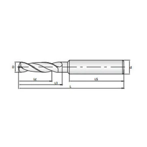 Plm 1.webp